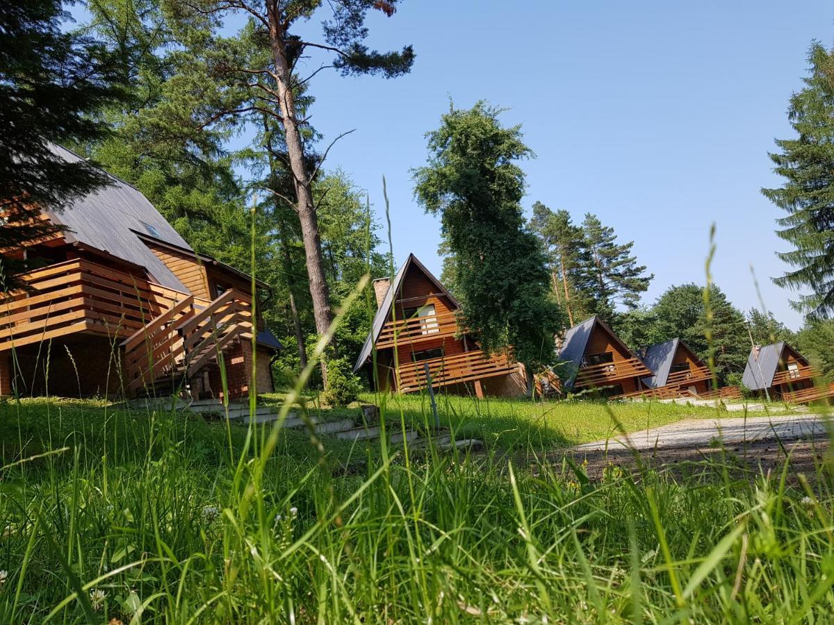 Osrodek Wczasow Zdrowotnych Apartment *